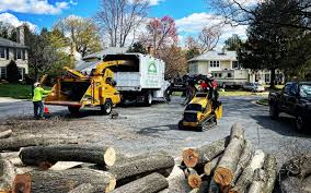  Waterloo, NE Tree Care Services Pros